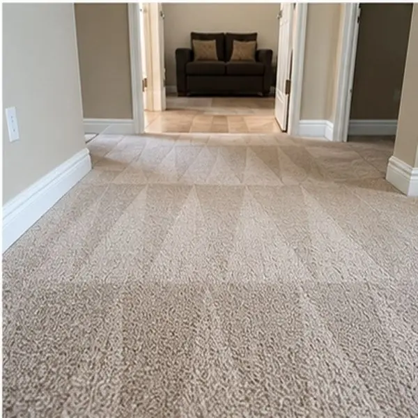 Carpet cleaning results in Albion VIC